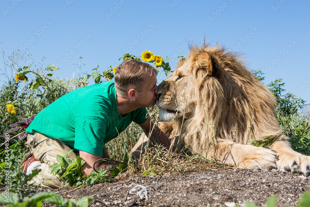 Obraz premium The man kissing the lion in safari park Taigan, Crimea, Russia