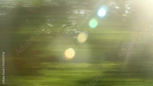 Window View from Car, Bus, Train - No 115 - from train, fast with trees, with flares