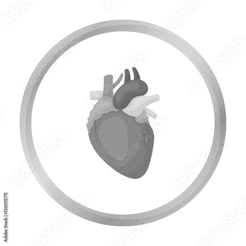 Heart icon in monochrome style isolated on white background. Organs symbol stock vector illustration.