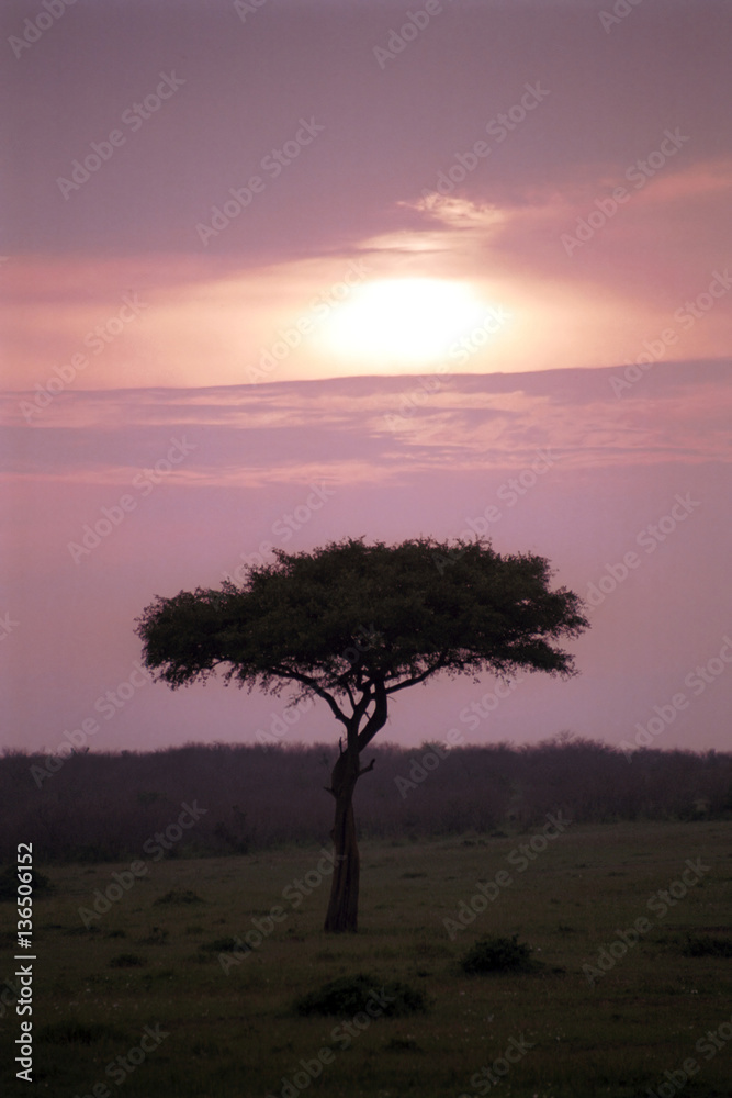 Sunrise, Maasai Mara Game Reserve, Kenya