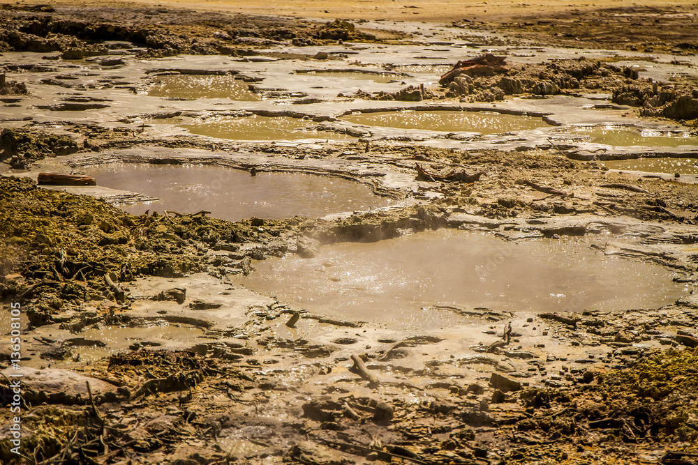 Wai-o-tapu geothermal area, Rotorua, New Zealand