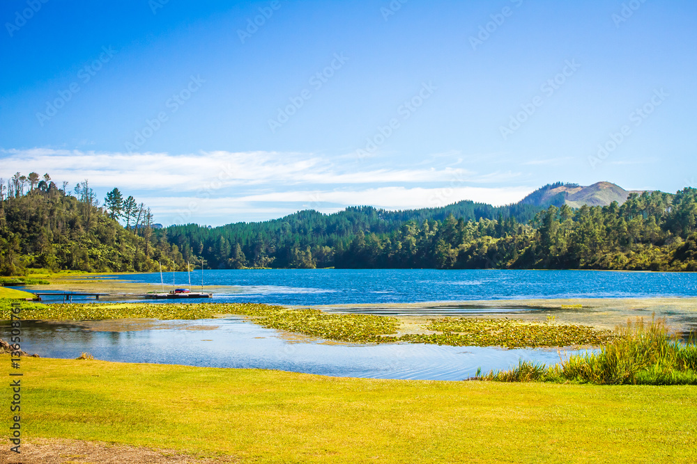 serene river view, green forest and blue water serene river view, green forest and blue water