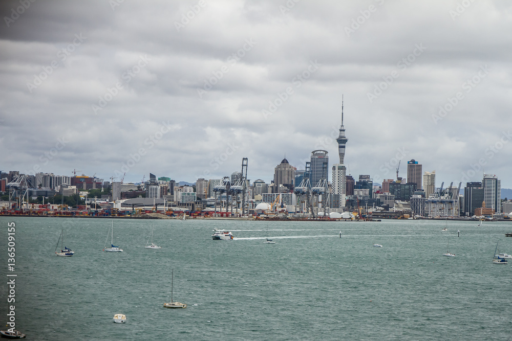 Fototapeta premium auckland city view from devonport