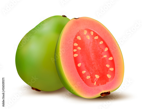 Fresh green Guava fruit. Vector. photo