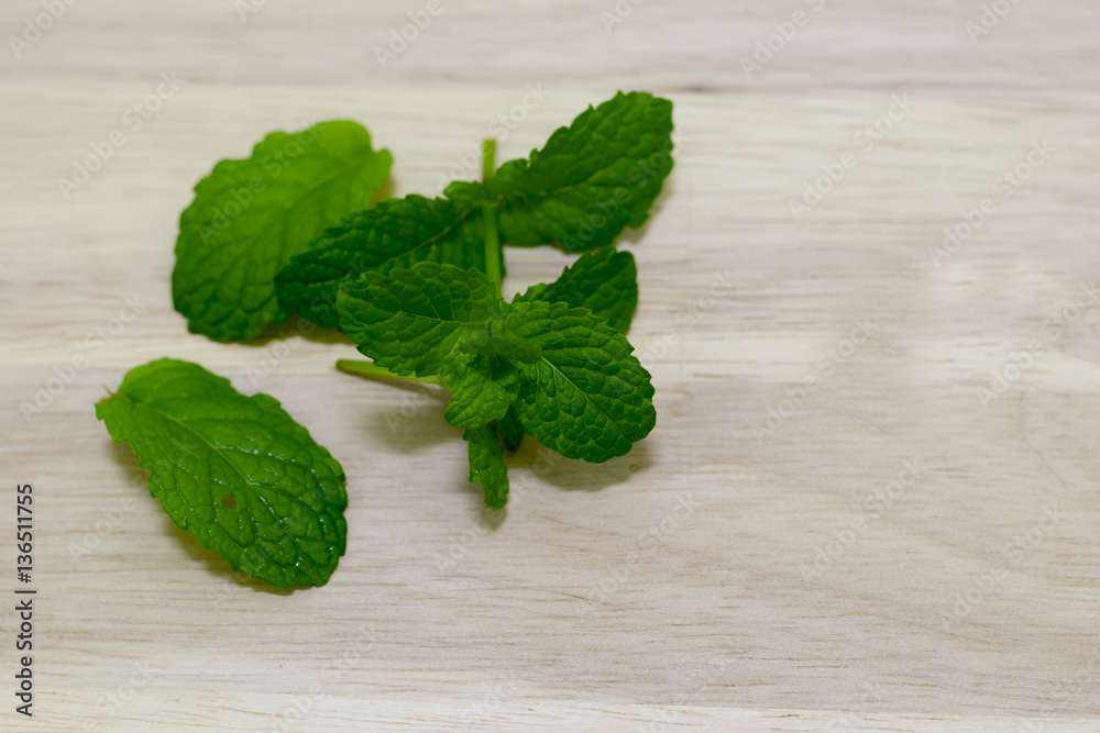 Green fresh mint leaf on the wooden table Green fresh mint leaf on the wooden table