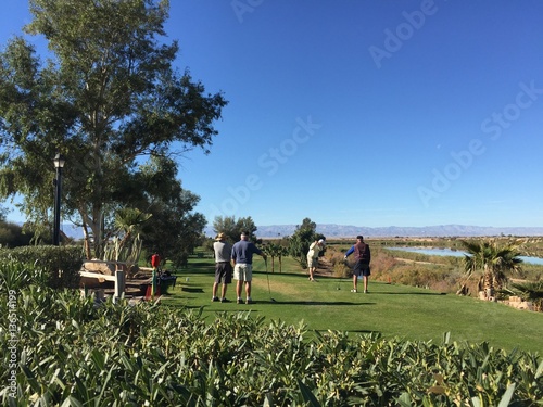Foursome on the Green