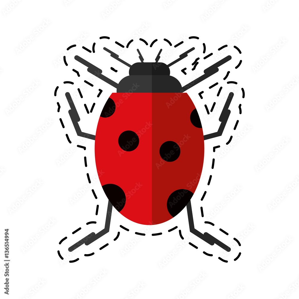 Fototapeta premium cartoon ladybug insect nature icon vector illustration eps 10
