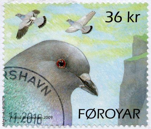 FAROE ISLANDS - 2009: shows Pigeons
