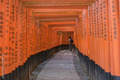Obraz na płótnie Red torii gate at Fushimi Inari Shrine in Kyoto, Japan w salonie