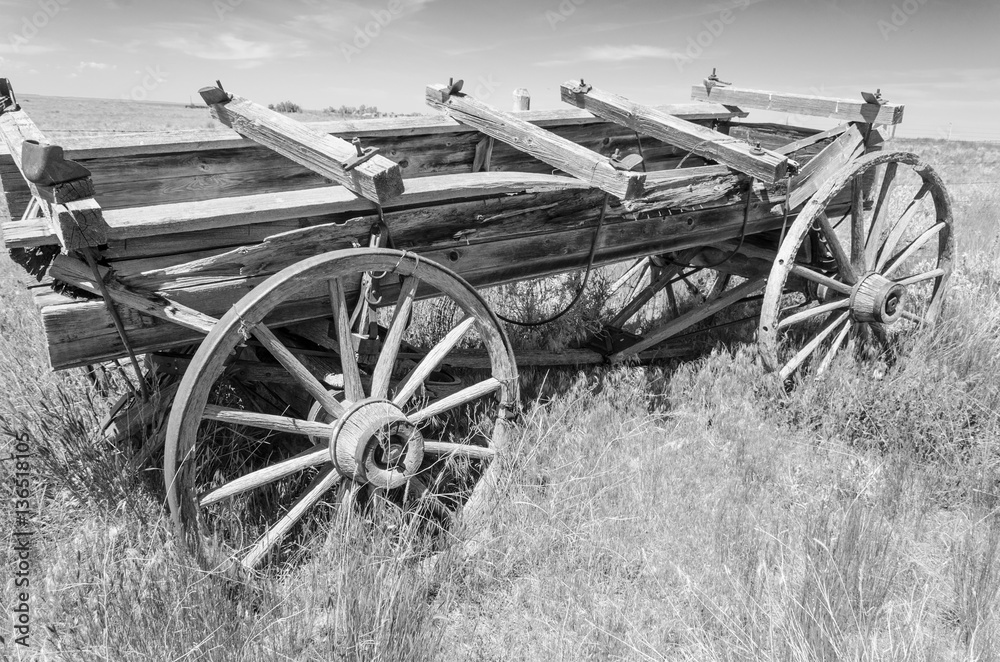 Fototapeta premium old water wagon