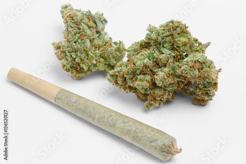 Close up of Jack Herrer medical marijuana buds with weed joint photo