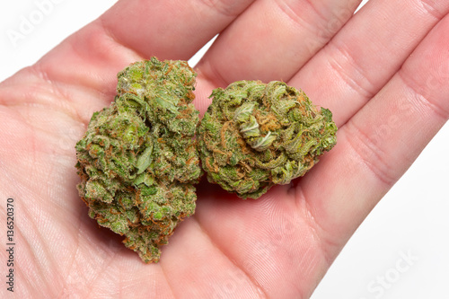 Close up of Charlie Sheen medical marijuana buds