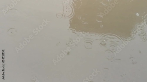 the rain in the puddle