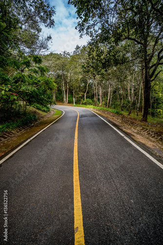 Road in the park © cjansuebsri