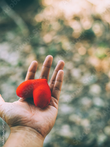 Hand holding a red heart