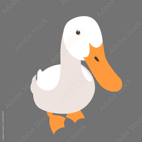 duck vector illustration style Flat
