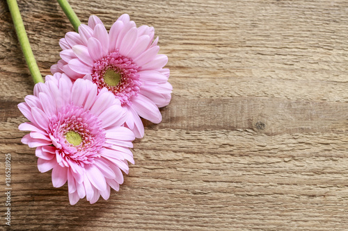 Pink gerbera flowers on wooden background