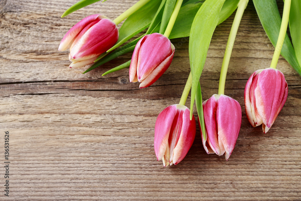 Beautiful pink tulips on wooden background
