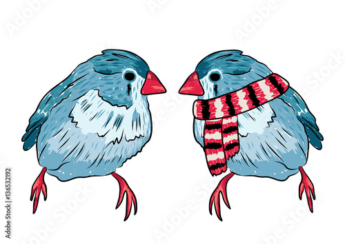 vector illustration of the same bird warm dressed and undressed
