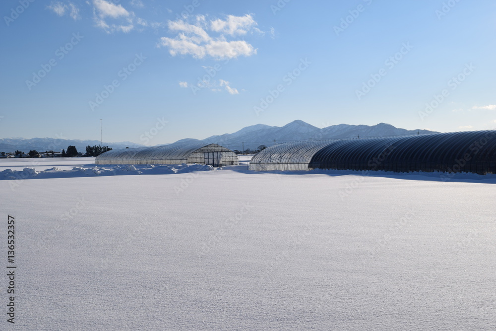 Obraz premium 雪景色