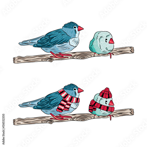 vector illustration of the same birds warm dressed and undressed