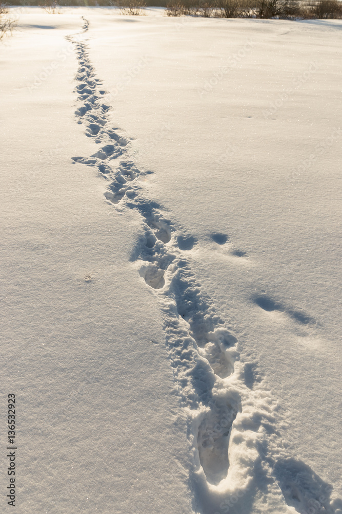 footprints in the deep snow in a white box footprints in the deep snow in a white box