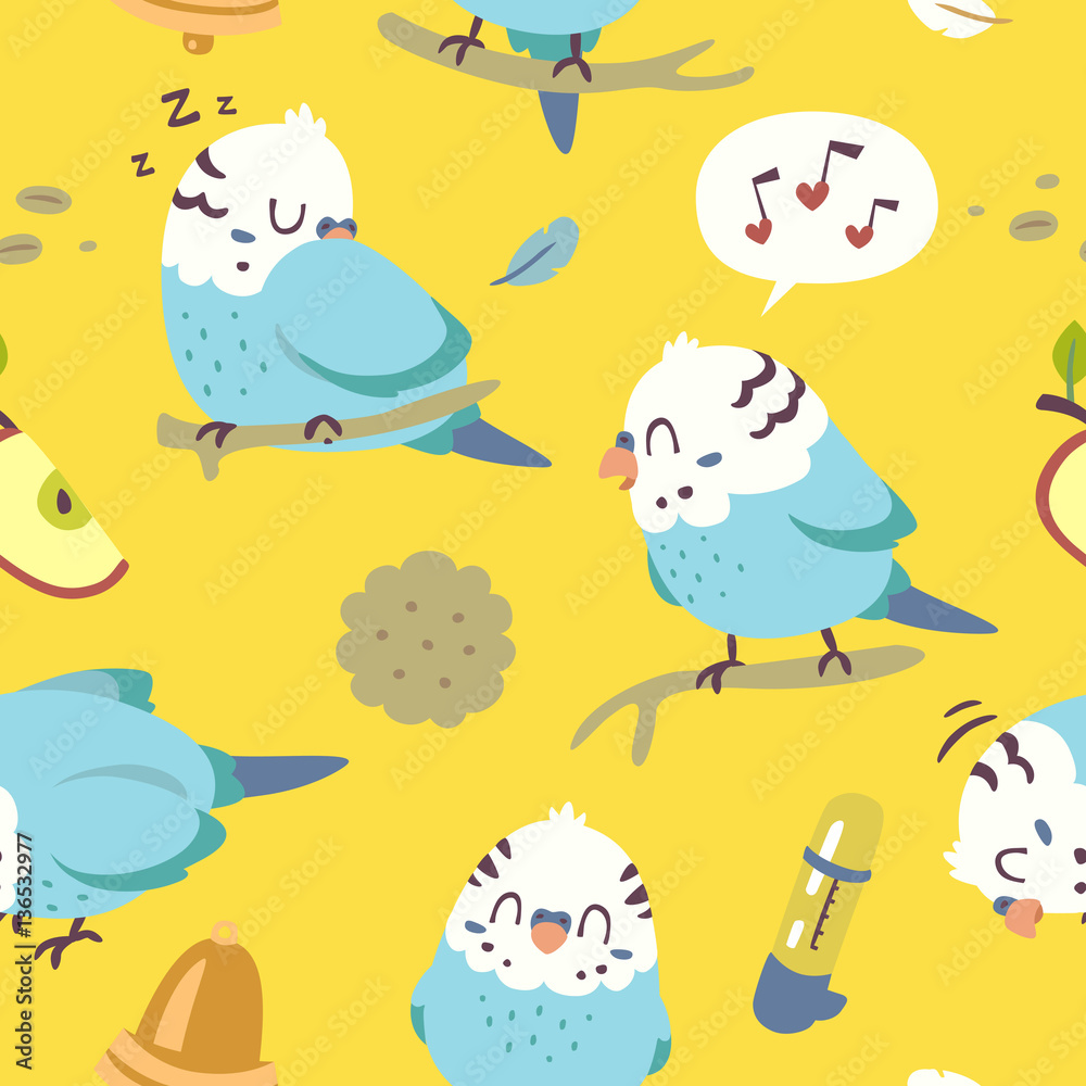 vector cartoon budgie parrot set vector cartoon budgie parrot set