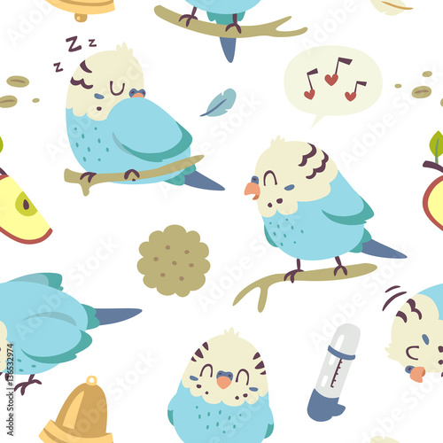 vector cartoon budgie parrot set