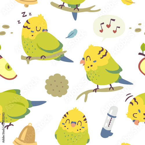 vector cartoon budgie parrot set