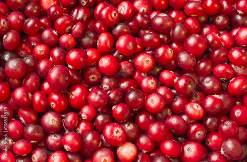 many ripe berries of cranberry on the surface soft light