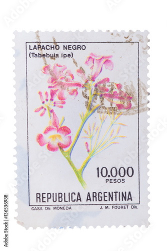 RGENTINA - CIRCA 1983: a stamp printed in the Argentina shows Pi photo