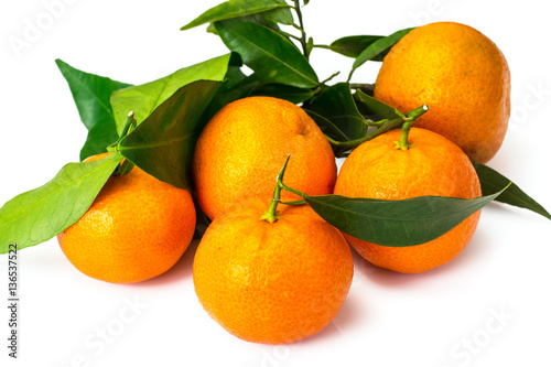 Mandarins on the branches on a white background