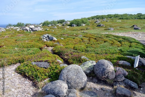 Валуны и каменные лабиринты большого Заяцкого острова соловецкого архипелага