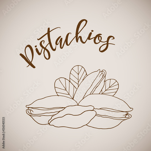Vector illustration hand drawn sketch pistachios