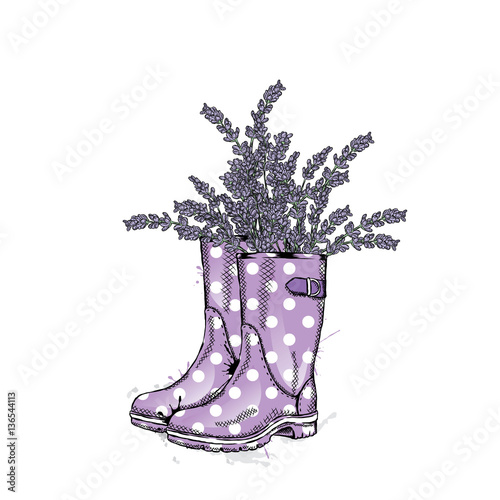 Bouquet of lavender in a beautiful polka dot rubber boots. Vector illustration. Spring flowers.