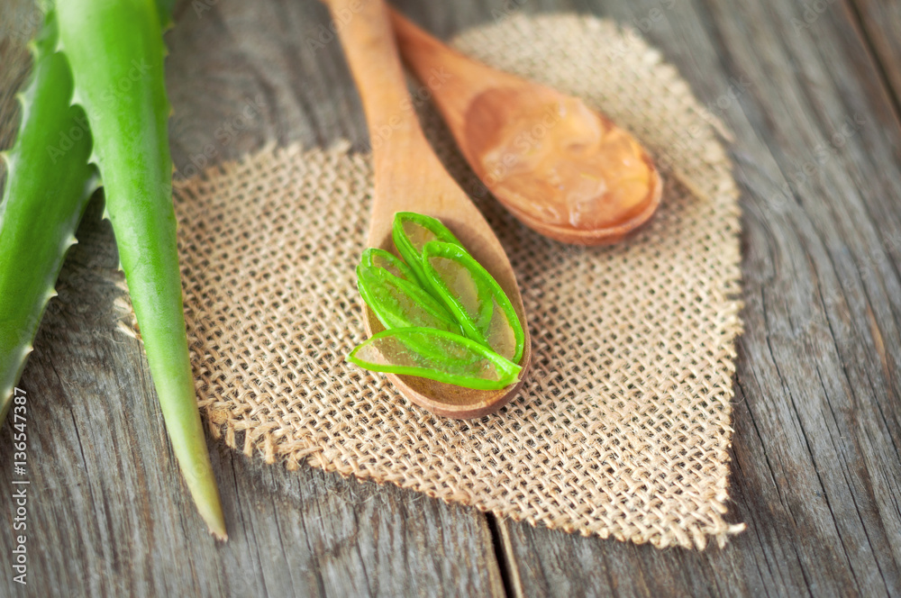 Pieces of aloe vera. Useful herb for skin care and hair care. Al Pieces of aloe vera. Useful herb for skin care and hair care. Al