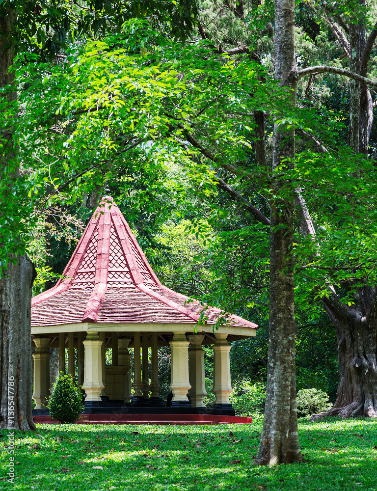 Royal Botanical Gardens, Kandy, Peradeniya, Sri Lanka, one of the best maintained botanical gardens in the world Royal Botanical Gardens, Kandy, Peradeniya, Sri Lanka, one of the best maintained botanical gardens in the world