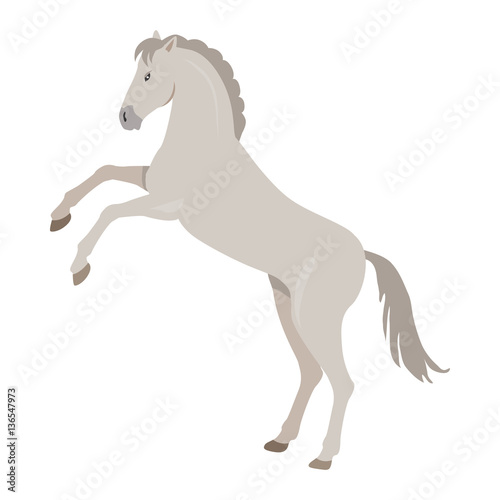 Rearing Grey Horse Illustration in Flat Design