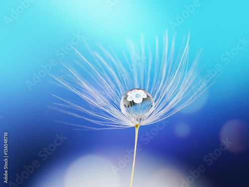 Beauty water drop rain dew on a dandelion seed with reflection of flower on a blue background macro. Light air dreamy artistic image.