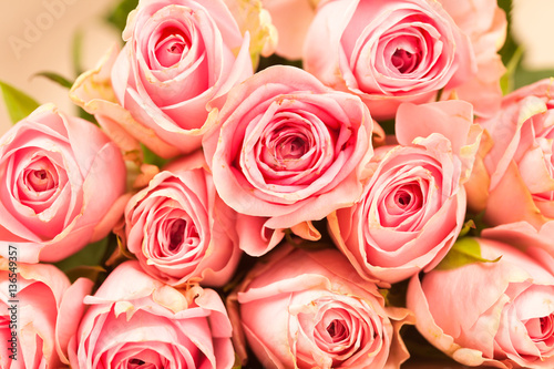 rosa Rosen auf einem Holzhintergrund