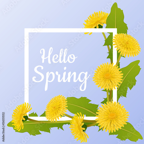 Fototapeta Naklejka Na Ścianę i Meble -  Spring frame with yellow dandelion flower and hello spring message