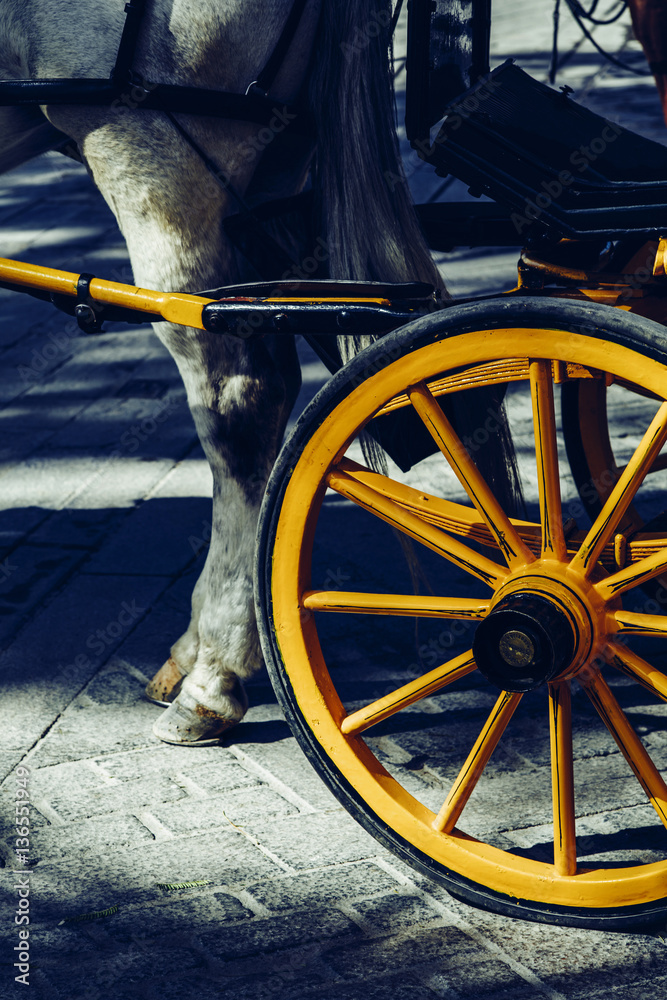 Horse and carriages in black and yellow livery are a distinctive part of old Seville, Spain.