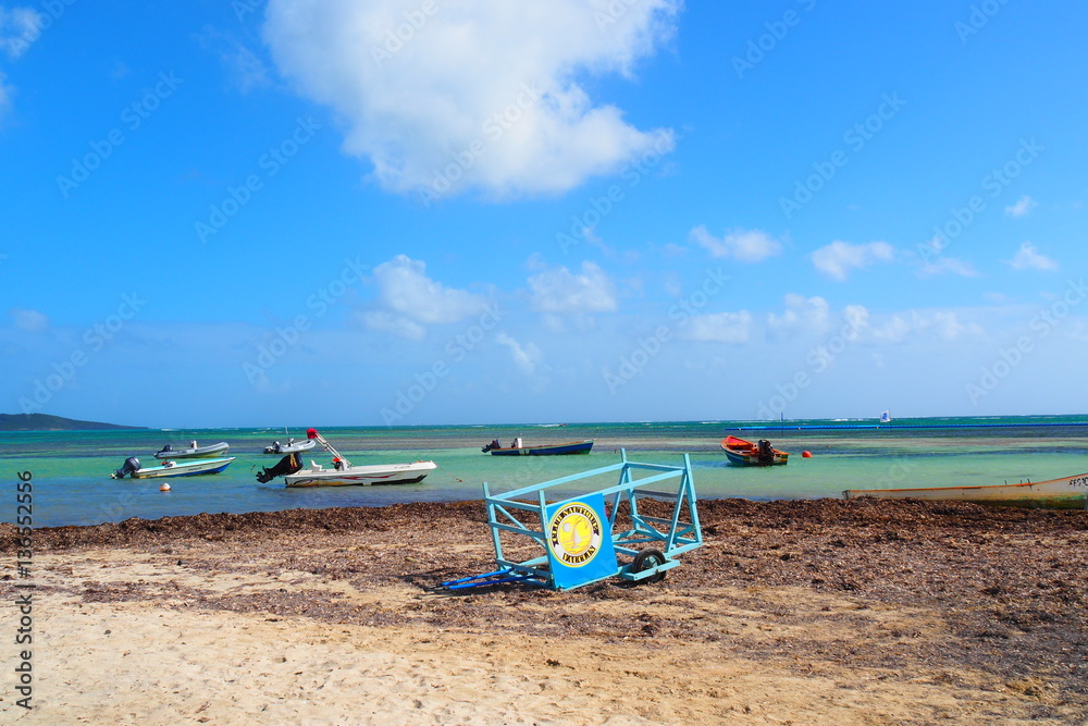 Martinique Pointe Faula