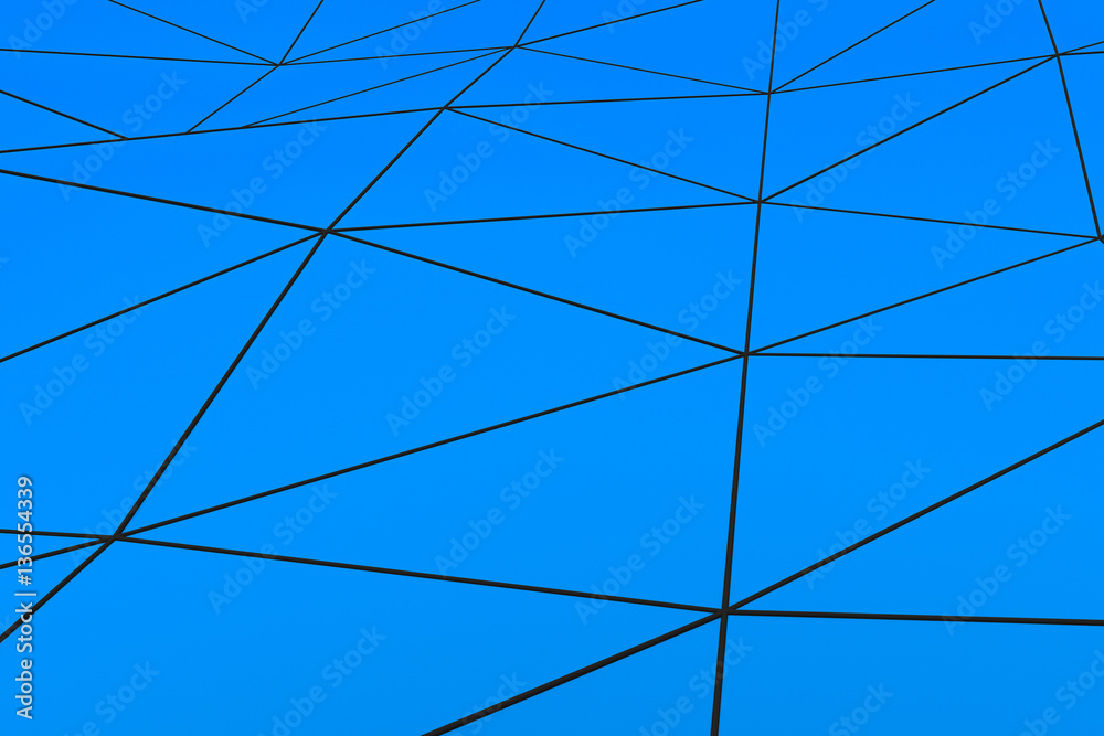 Obraz premium Colored low poly displaced surface with dark connecting lines