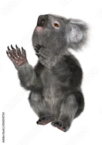 Fototapeta Naklejka Na Ścianę i Meble -  3D Rendering Koala Bear on White