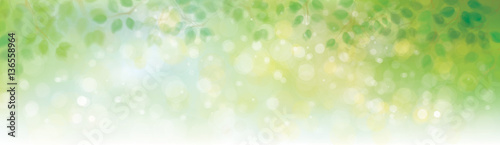 Vector green leaves border on sunshine background.