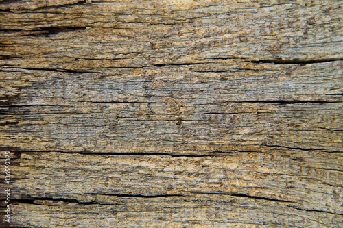 Wooden texture