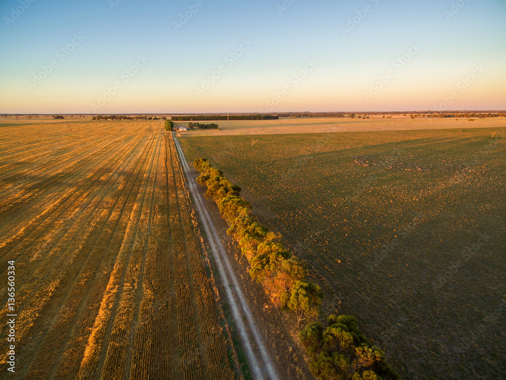 Agricultural fields at sunset aerial view - green and yellow fields