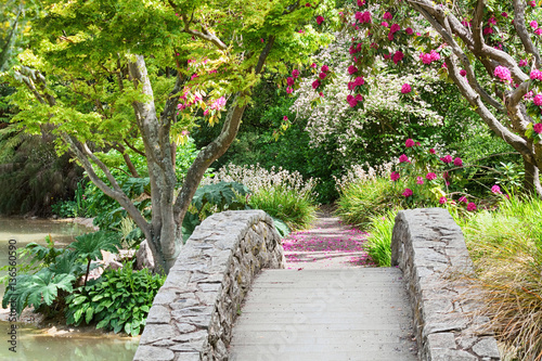 Spring in botanic garden