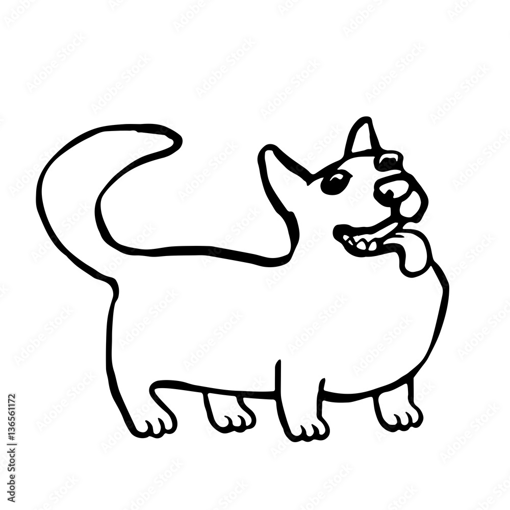 Corgi Dog Isolated Vector Illustration. Funny Cartoon Fur. Contour Freehand Digital Drawing Cute Character. Cheerful Pet for Web Icons and Shirt.